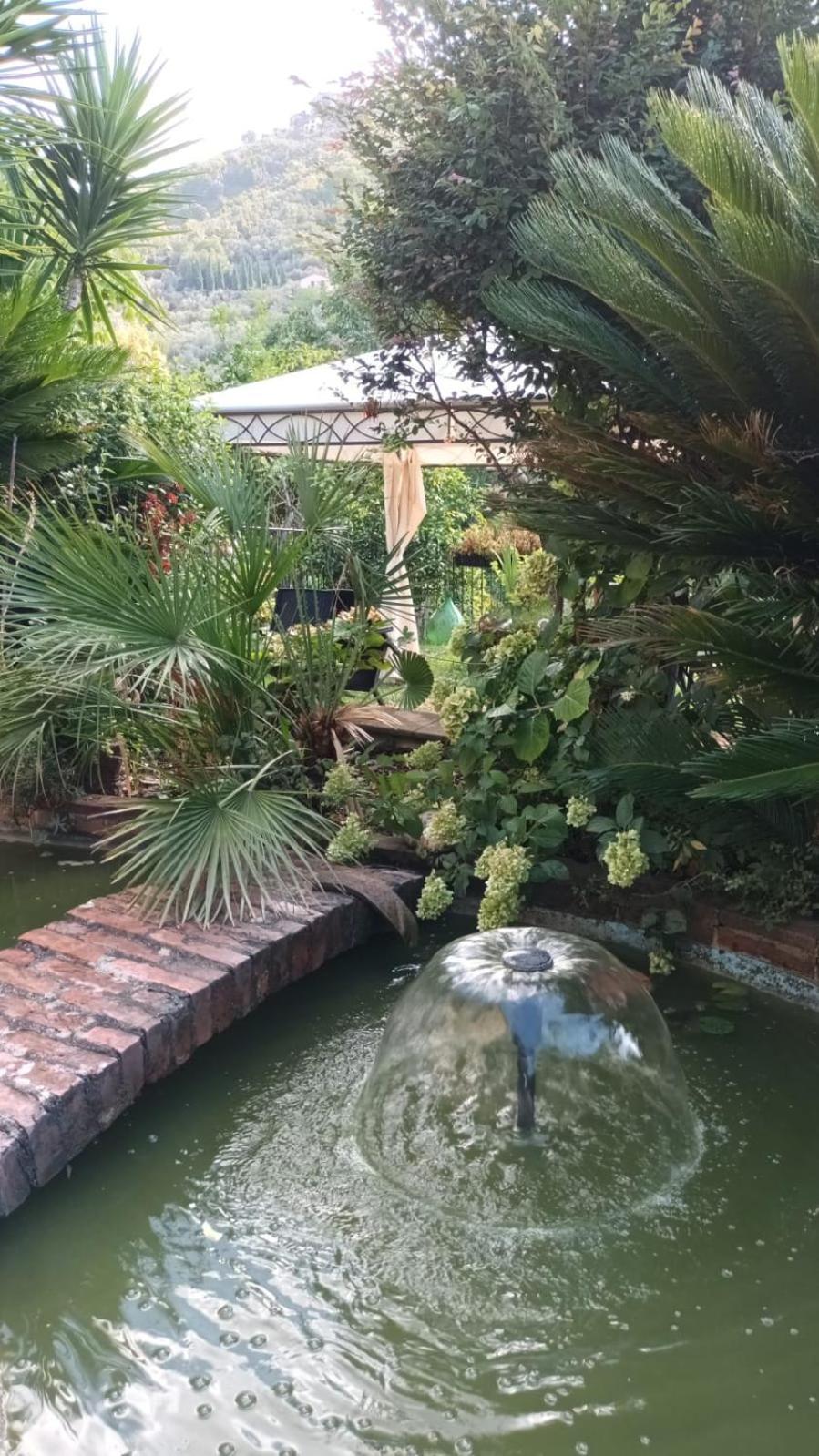 Jasmine Cottage Luni Luaran gambar